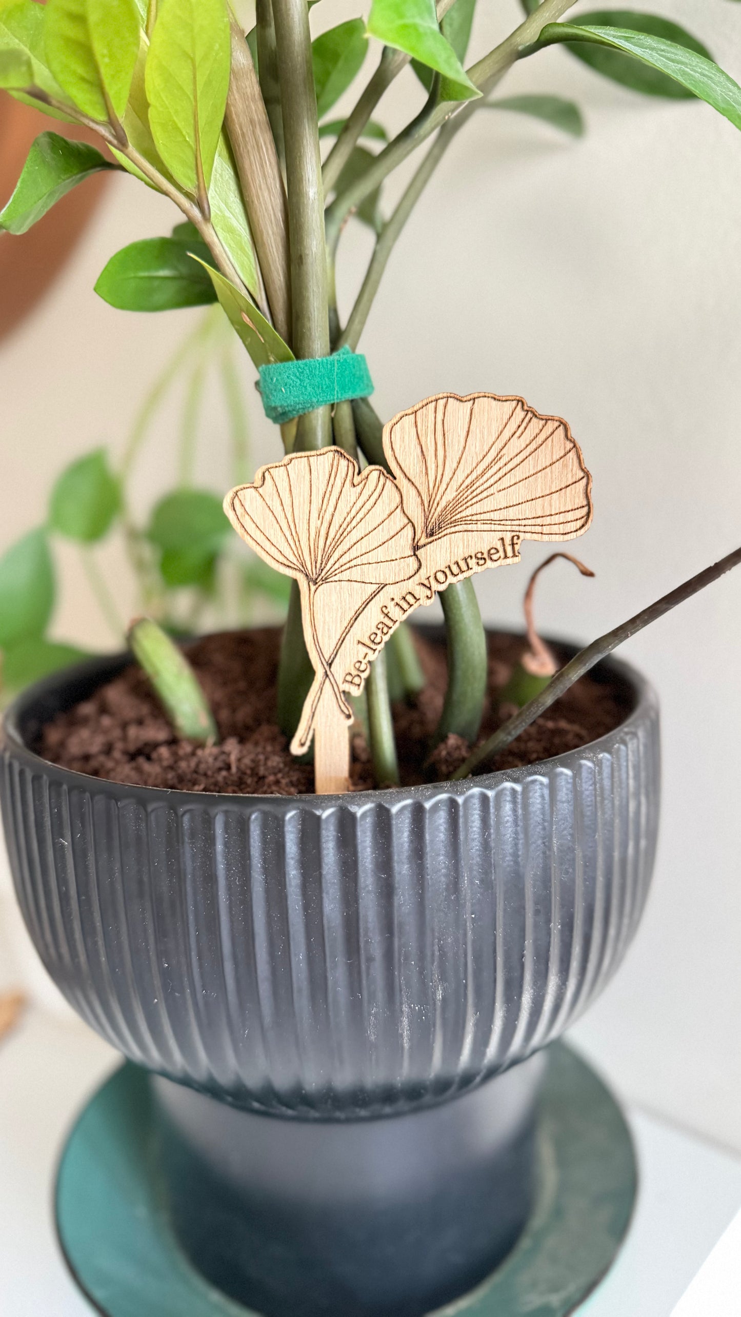 Be-leaf In yourself - Plant buddies