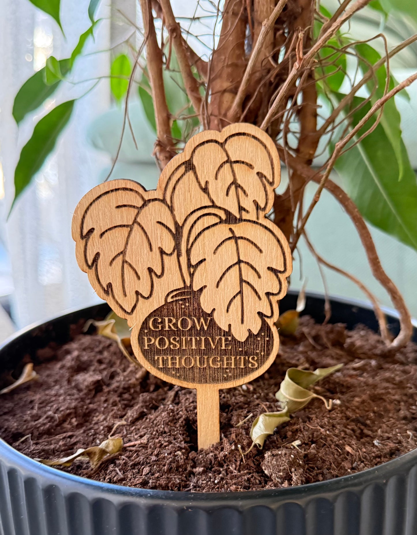 Grow positive thoughts - Plant buddies