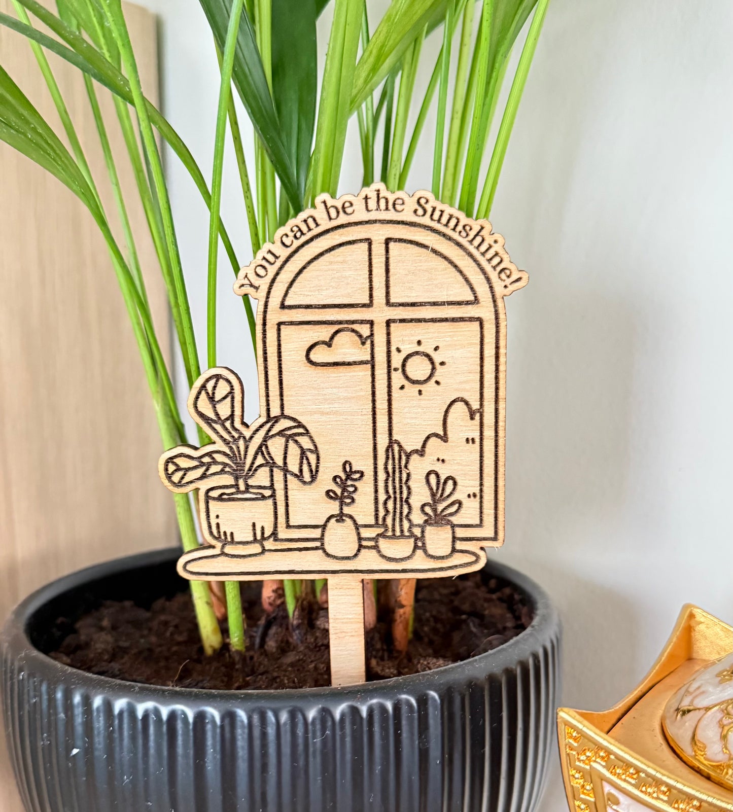 You can be the Sunshine - Plant buddies