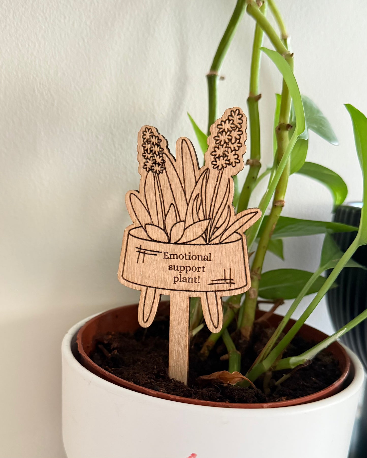 Emotional Support Plant - Plant buddies