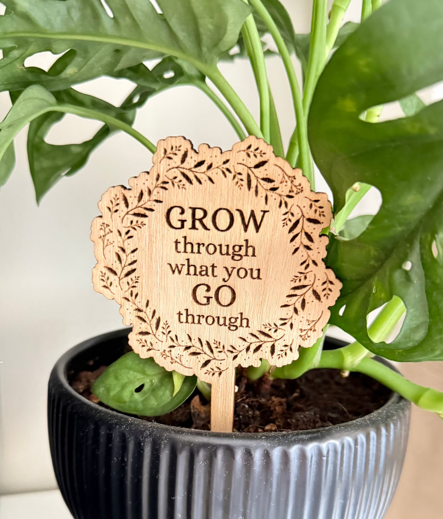 Grow through what you Go through - Plant buddies